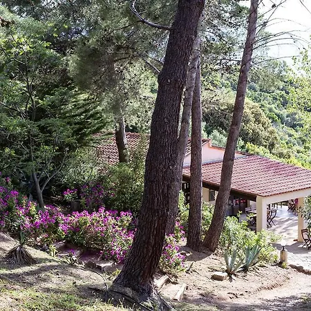 Ferayola