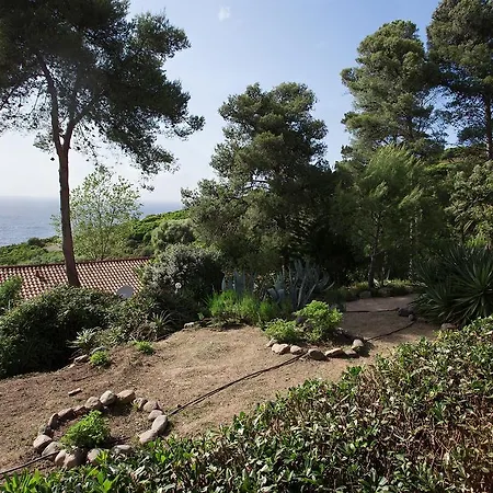 Ferayola