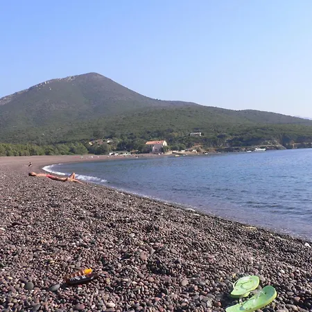 Ferayola 3*