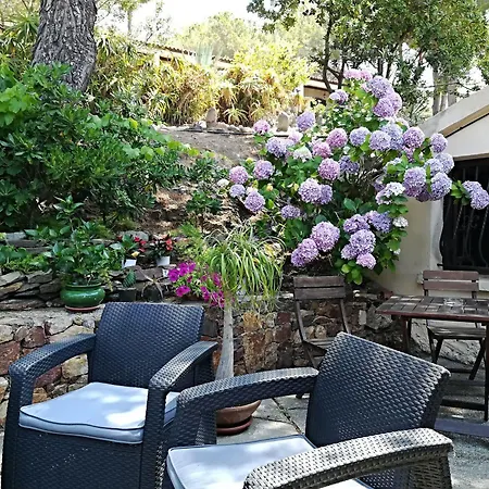 Ferayola Hotel 3*