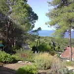 Ferayola 4*