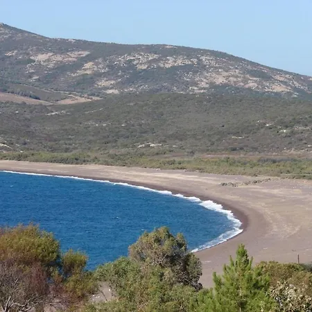 Ferayola גלריה