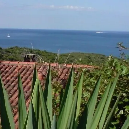 Ferayola
