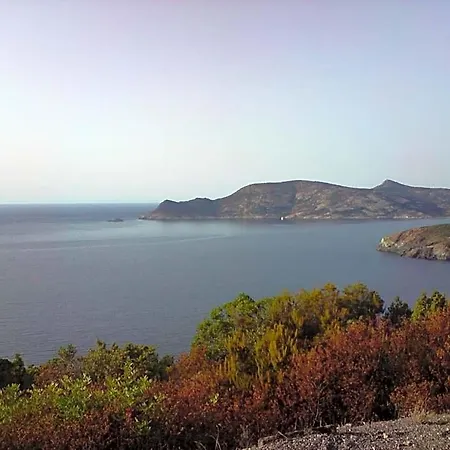 Ferayola