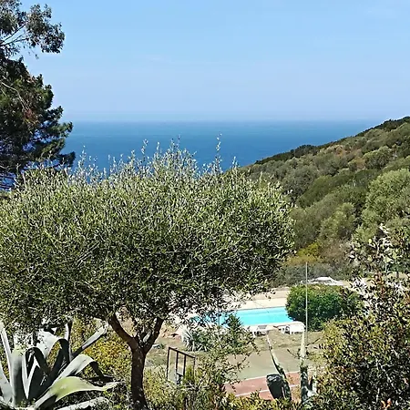 Ferayola Hotel 3*