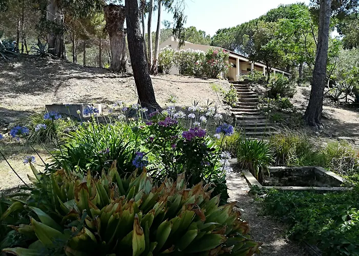 Ferayola 4* Galéria