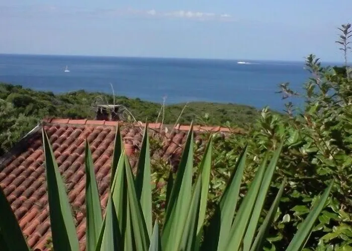 Ferayola