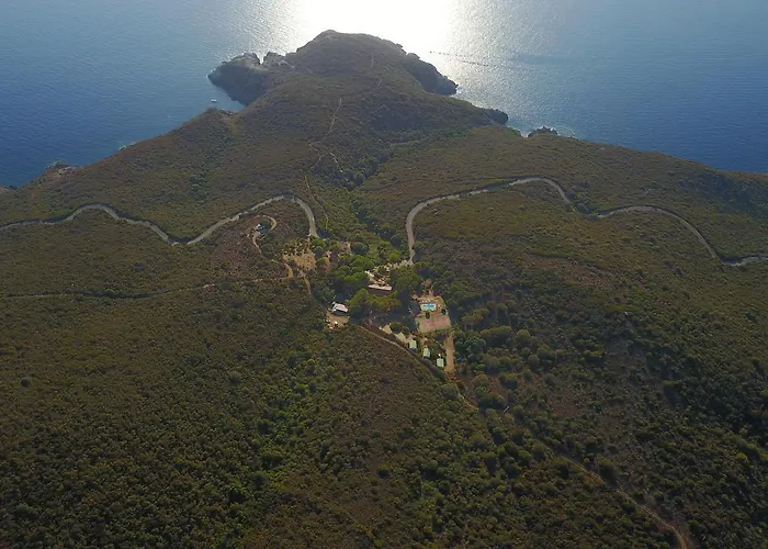 Ferayola